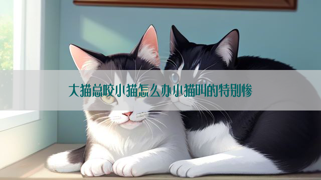 大猫总咬小猫怎么办小猫叫的特别惨