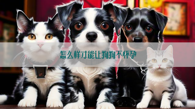 怎么样才能让狗狗不怀孕