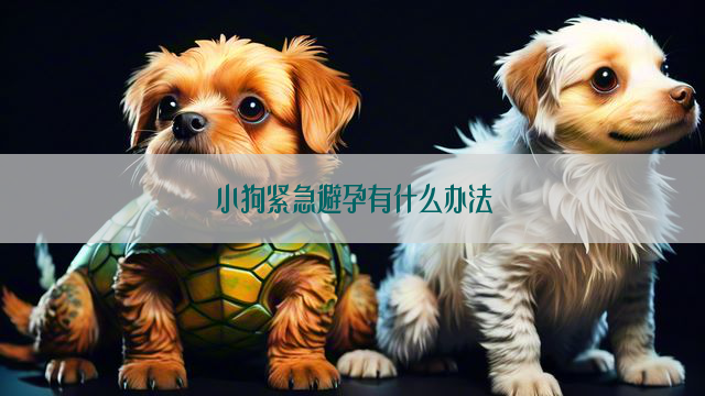 小狗紧急避孕有什么办法