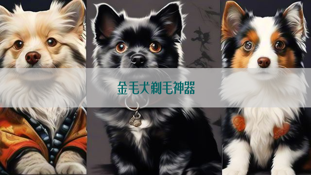 金毛犬剃毛神器