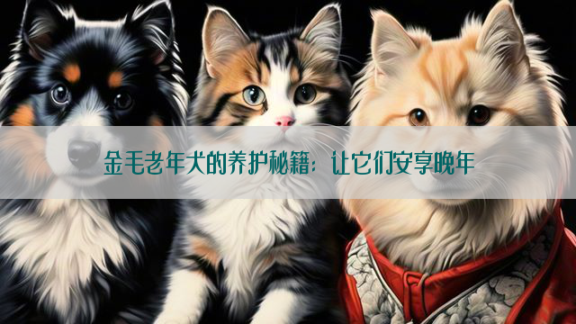 金毛老年犬的养护秘籍：让它们安享晚年