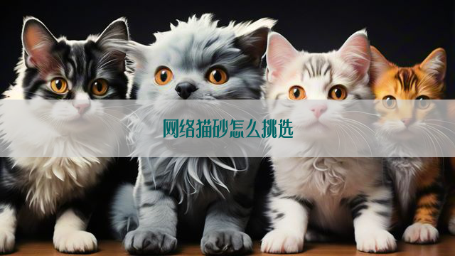 网络猫砂怎么挑选