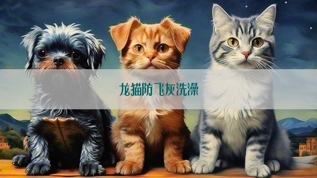 龙猫防飞灰洗澡