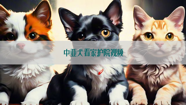 中亚犬看家护院视频