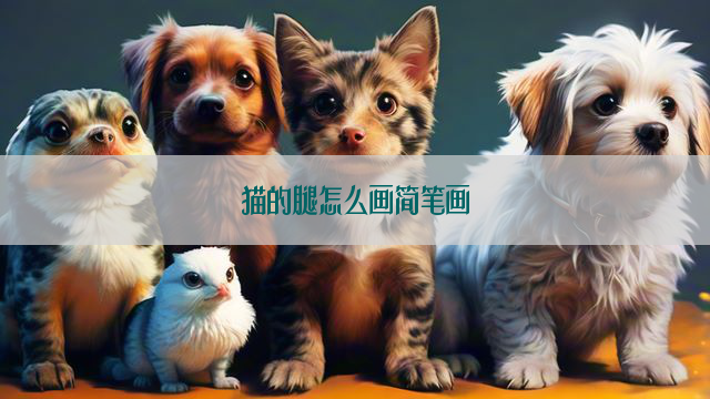 猫的腿怎么画简笔画