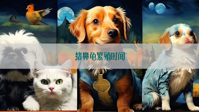 猪鼻龟繁殖时间