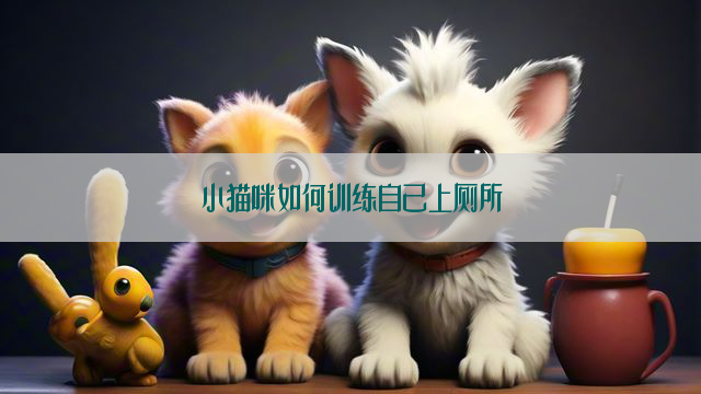 小猫咪如何训练自己上厕所