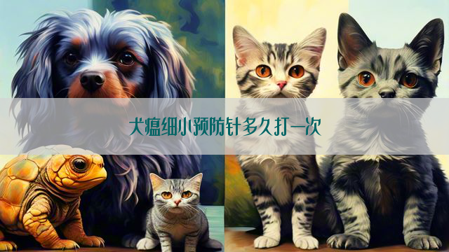 犬瘟细小预防针多久打一次