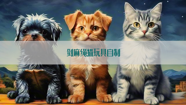 剑麻绳猫玩具自制