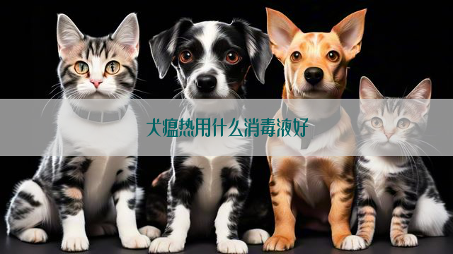 犬瘟热用什么消毒液好