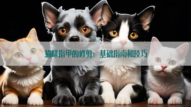 猫咪指甲的修剪：基础指南和技巧