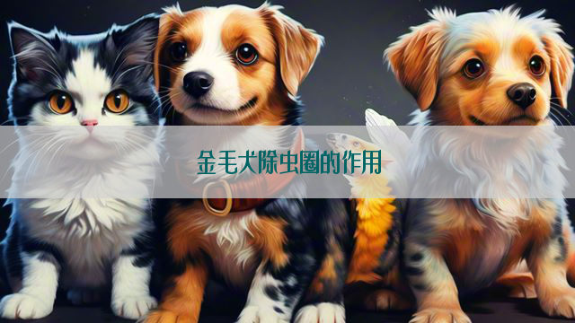 金毛犬除虫圈的作用