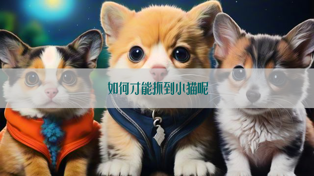 如何才能抓到小猫呢