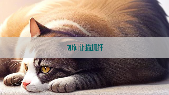 如何让猫抓狂