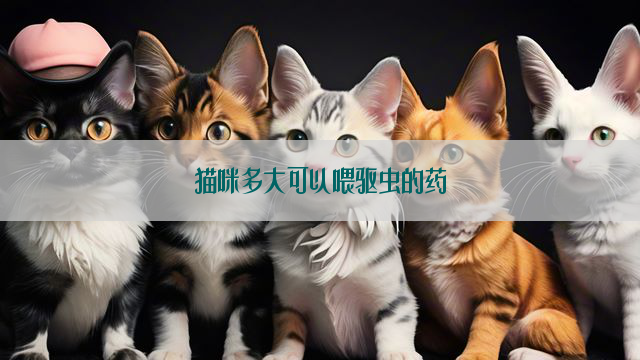 猫咪多大可以喂驱虫的药