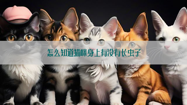 怎么知道猫咪身上有没有长虫子